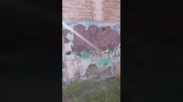 malditamaldi  02-09-2022